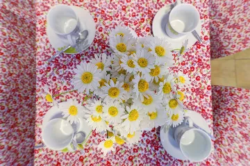 Kršan Holiday House with Swimming Pool