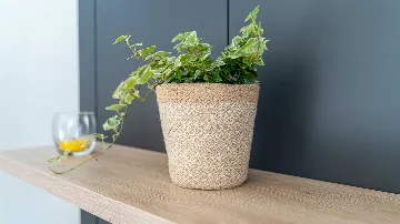 Rogoznica 5-Bedroom Villa with Heated Pool