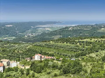 Modern Countryside Villa in Buje with Jacuzzi & Sauna