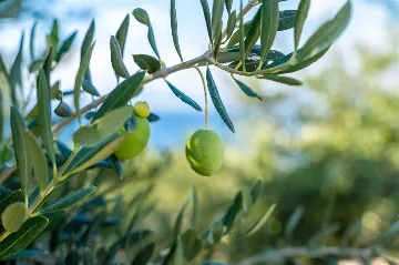 3-Bedroom Villa with Heated Pool in Supetar