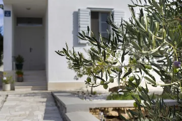 3-Bedroom Villa with Private Pool in Ljubljeva