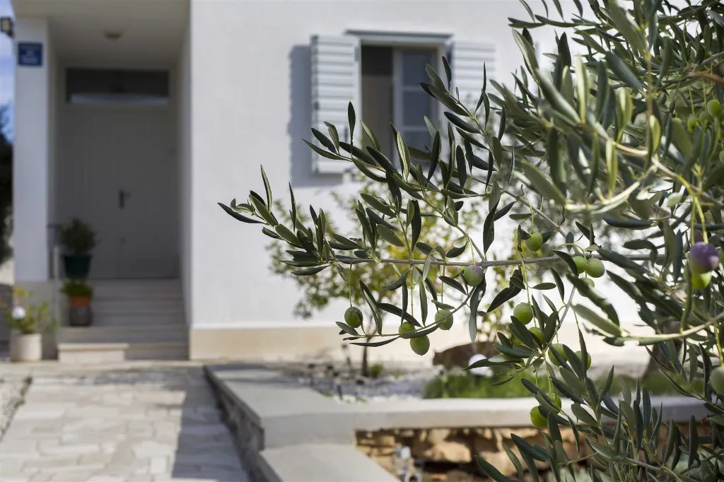 3-Bedroom Villa with Private Pool in Ljubljeva