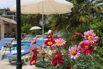 Sutivan Villa with Four Apartments for Up to 14