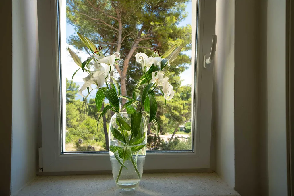 Mediterranean Villa with Sea Views in Sumartin