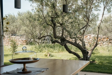 4-Bedroom Villa in Gornje Selo for Up to 8 Guests