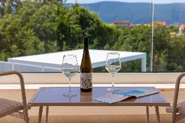 Villa with Private Pool in Linardici, Croatia