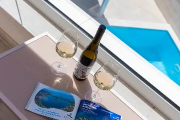 Villa with Private Pool in Linardici, Croatia