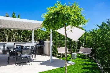 Villa with Private Pool in Linardici, Croatia