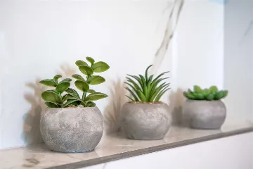 Grand Retreat Villa Grubine