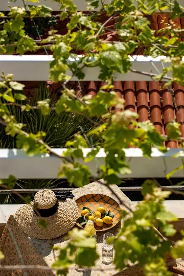 Seaside Villa with 7 Bedrooms in Zaton (12 Guests)