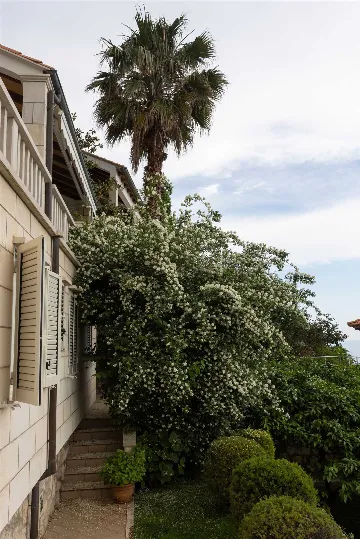 Seaside Villa with 7 Bedrooms in Zaton (12 Guests)