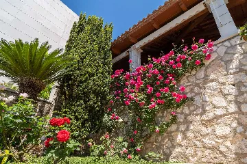 Seaside Villa with 7 Bedrooms in Zaton (12 Guests)