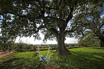 6-Bedroom Villa with Pool and Sauna in Vardica