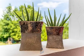 4-Bedroom Villa in Pican for up to 10 Guests