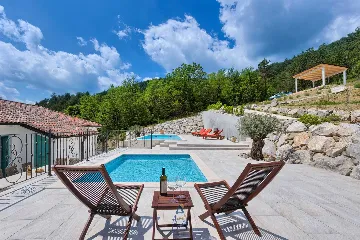 Buzet Villa for 14 Guests with Private Pools