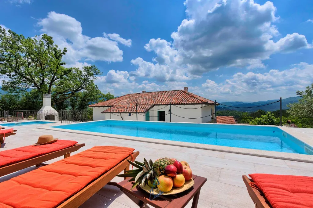 Buzet Villa for 14 Guests with Private Pools