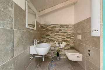 Buzet Villa for 14 Guests with Private Pools