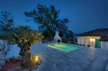 Buzet Villa for 14 Guests with Private Pools