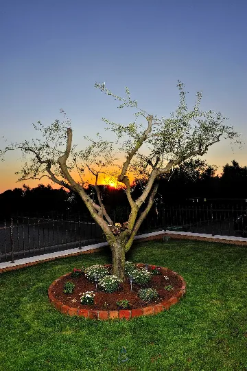 Novigrad Villa with Hydro Massage Pool for 8