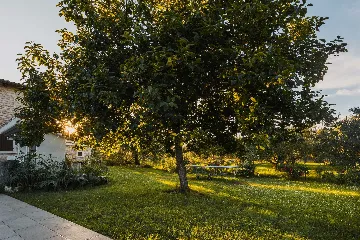 Pool Villa for 6 Guests in Buje, Croatia