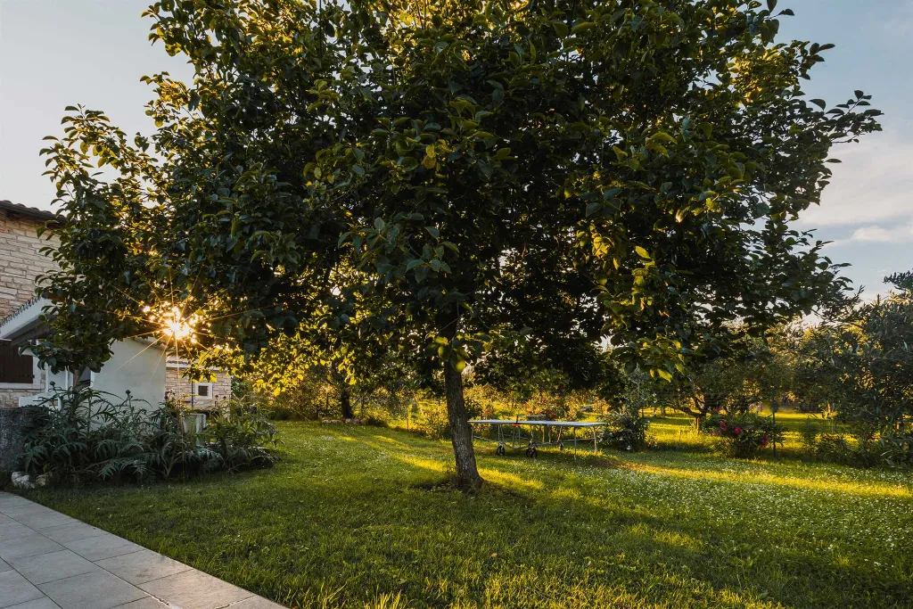 Pool Villa for 6 Guests in Buje, Croatia
