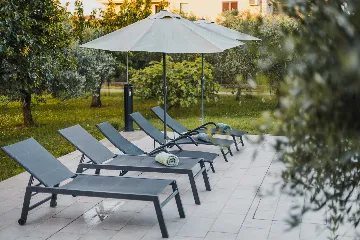 Pool Villa for 6 Guests in Buje, Croatia