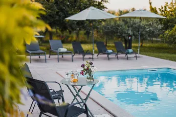 Pool Villa for 6 Guests in Buje, Croatia