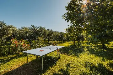 Pool Villa for 6 Guests in Buje, Croatia