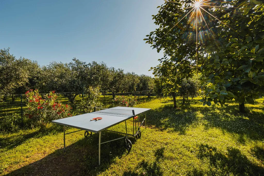 Pool Villa for 6 Guests in Buje, Croatia