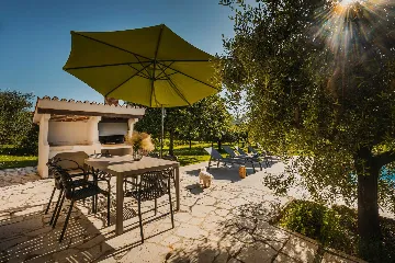 Pool Villa for 6 Guests in Buje, Croatia