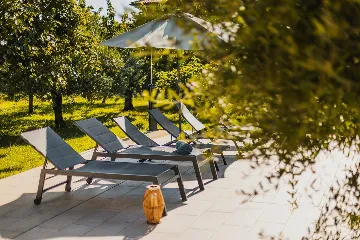 Pool Villa for 6 Guests in Buje, Croatia