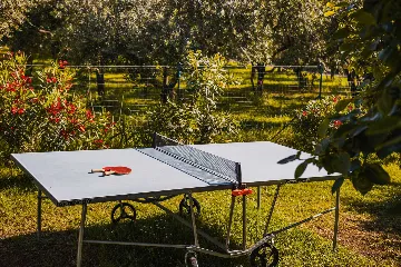 Pool Villa for 6 Guests in Buje, Croatia