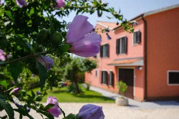 Valica 5-Bedroom Villa for Up to 11 Guests