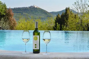 Livade 6-Bedroom Villa with Infinity Pool