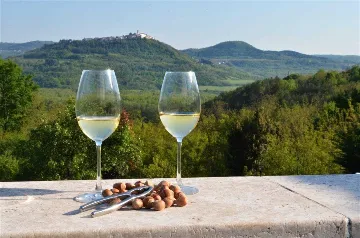 Livade 6-Bedroom Villa with Infinity Pool