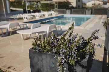 4-Bedroom Villa with Pool in Buje, Croatia