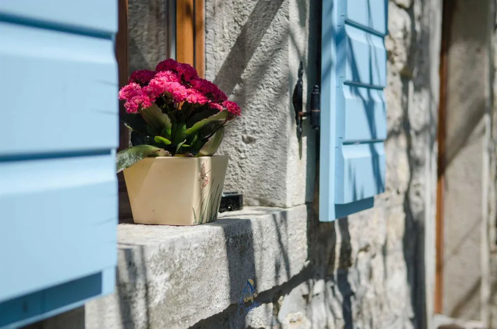 Pet-Friendly 2-Bedroom Villa with Private Pool in Buzet