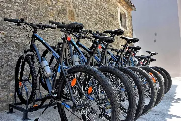 Jakomići Villa for 10 Guests with Private Pool