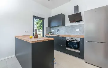 4-Bedroom Villa with Private Pool in Vabriga