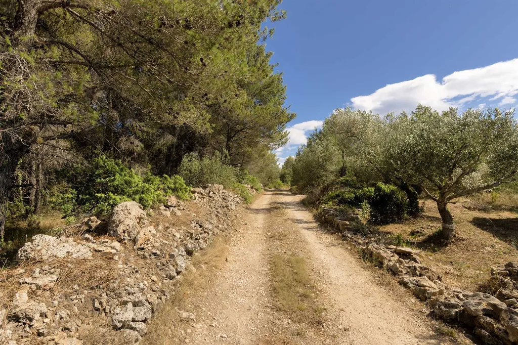 4-Bedroom Villa in Milna for up to 8 Guests