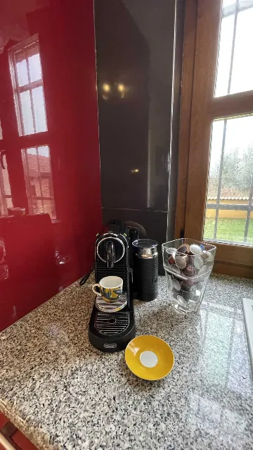 4-Bedroom Villa with Saltwater Pool in Višnjan