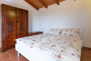 4-Bedroom Villa with Saltwater Pool in Višnjan