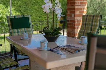 4-Bedroom Villa with Saltwater Pool in Višnjan