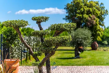 Barban Villa for 8 Guests with Heated Pool