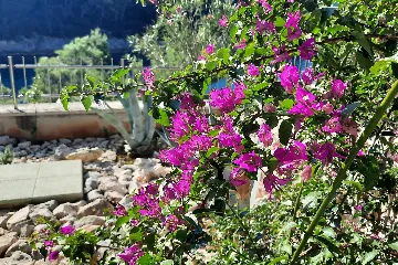 4-Bedroom Villa in Čara for 8 Guests