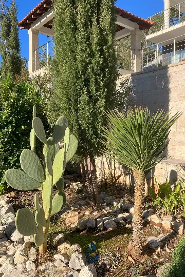 4-Bedroom Villa in Čara for 8 Guests