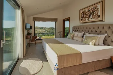 4-Bedroom Villa with Pool & Sauna in Momjan