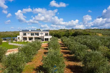 Modern 5-Bedroom Villa in Bale, Croatia (Up to 10)