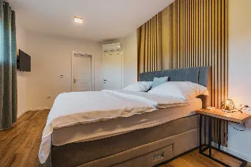 4-Bedroom Villa with Pool in Kaštelir (for 8)