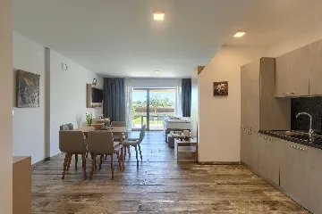 Studio for 3 Guests in Novigrad with Shared Pool